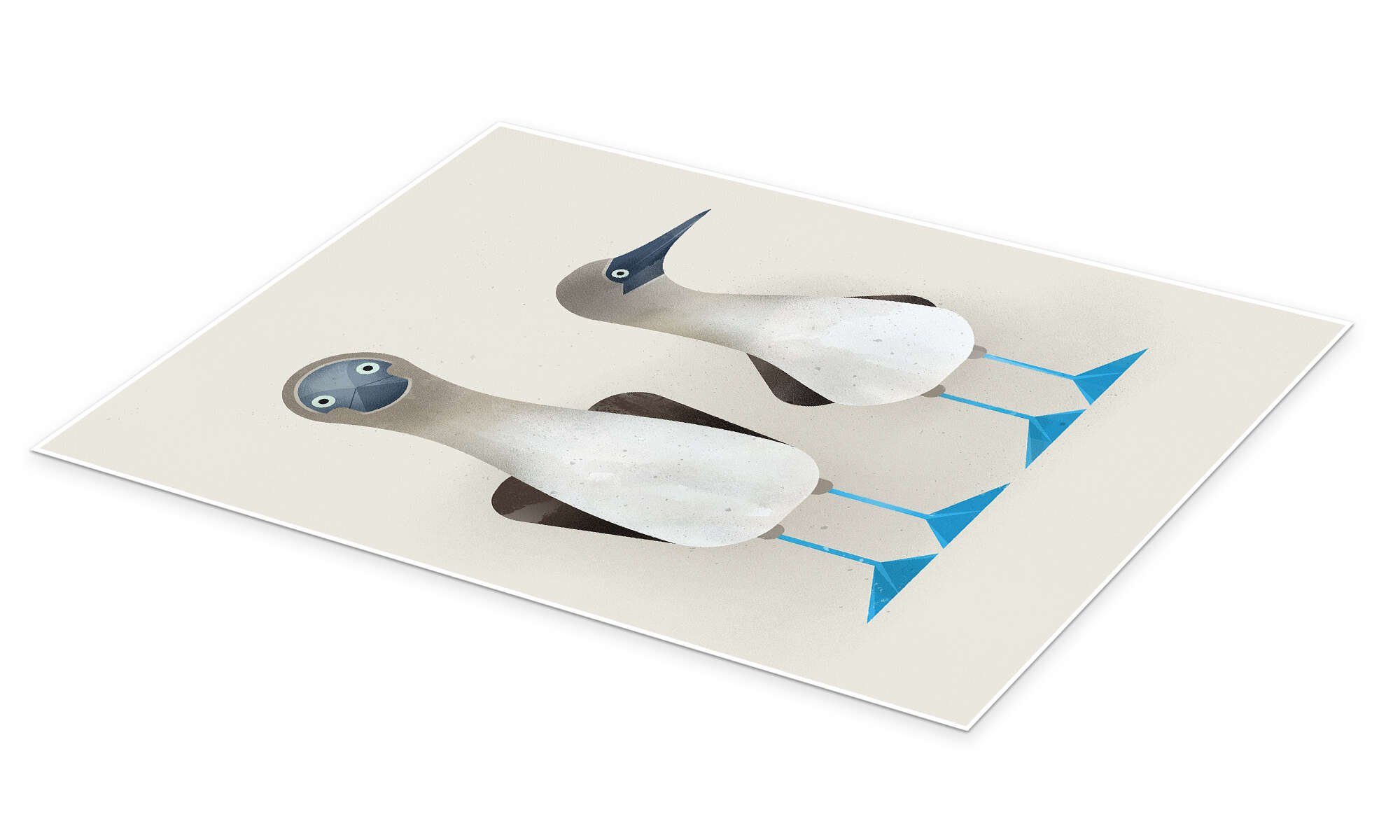 Posterlounge Poster Dieter Braun, Blaufußtölpel, Kinderzimmer günstig online kaufen