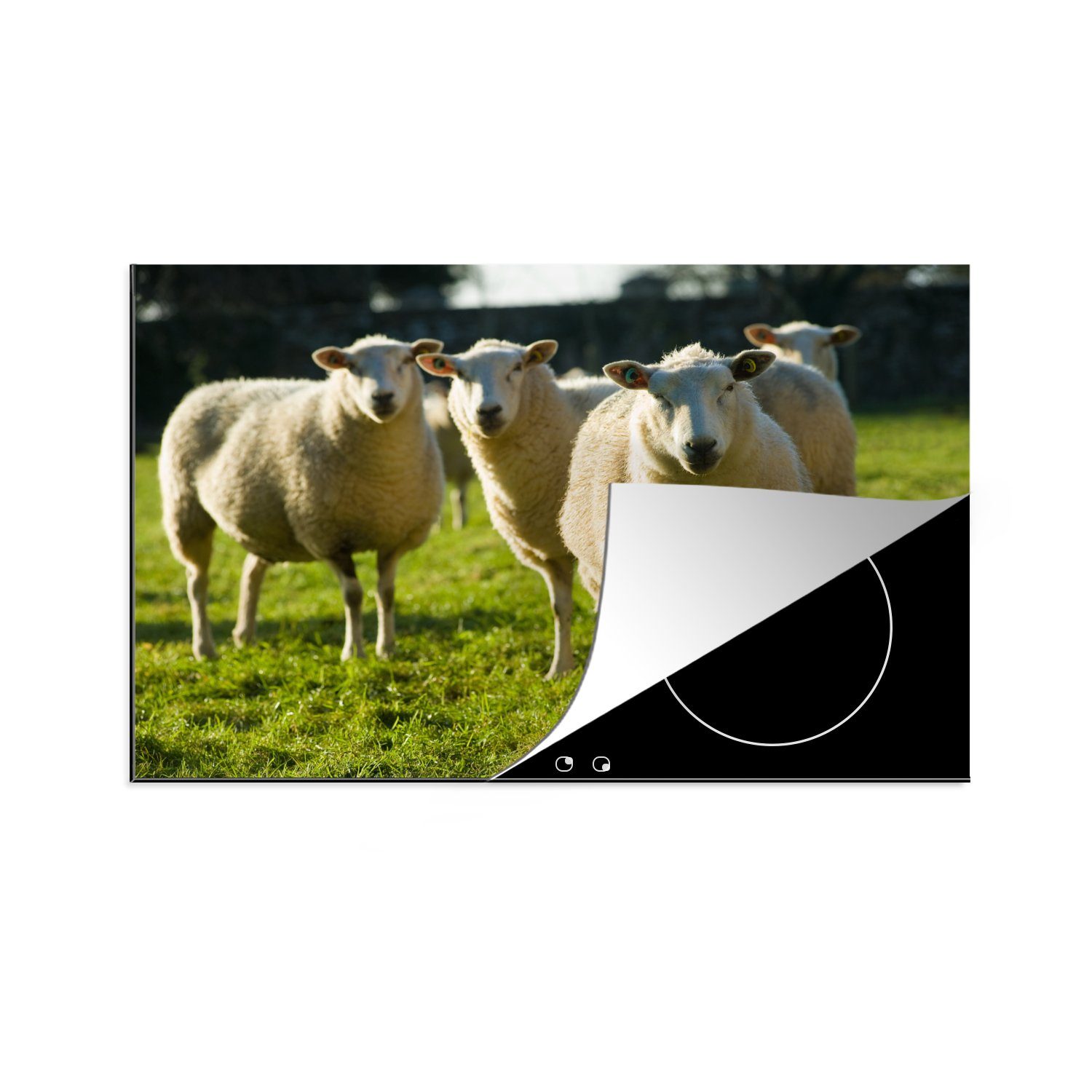MuchoWow Herdblende-/Abdeckplatte Schafe cm, (1 - tlg), Schutz Tiere Induktionskochfeld Vinyl, die Wolle, 81x52 Ceranfeldabdeckung für küche, 