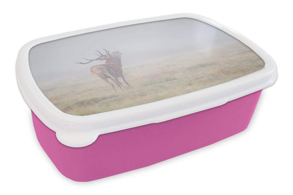 MuchoWow Lunchbox Hirsche - Gras - Nebel, Kunststoff, (2-tlg), Brotbox für Erwachsene, Brotdose Kinder, Snackbox, Mädchen, Kunststoff rosa