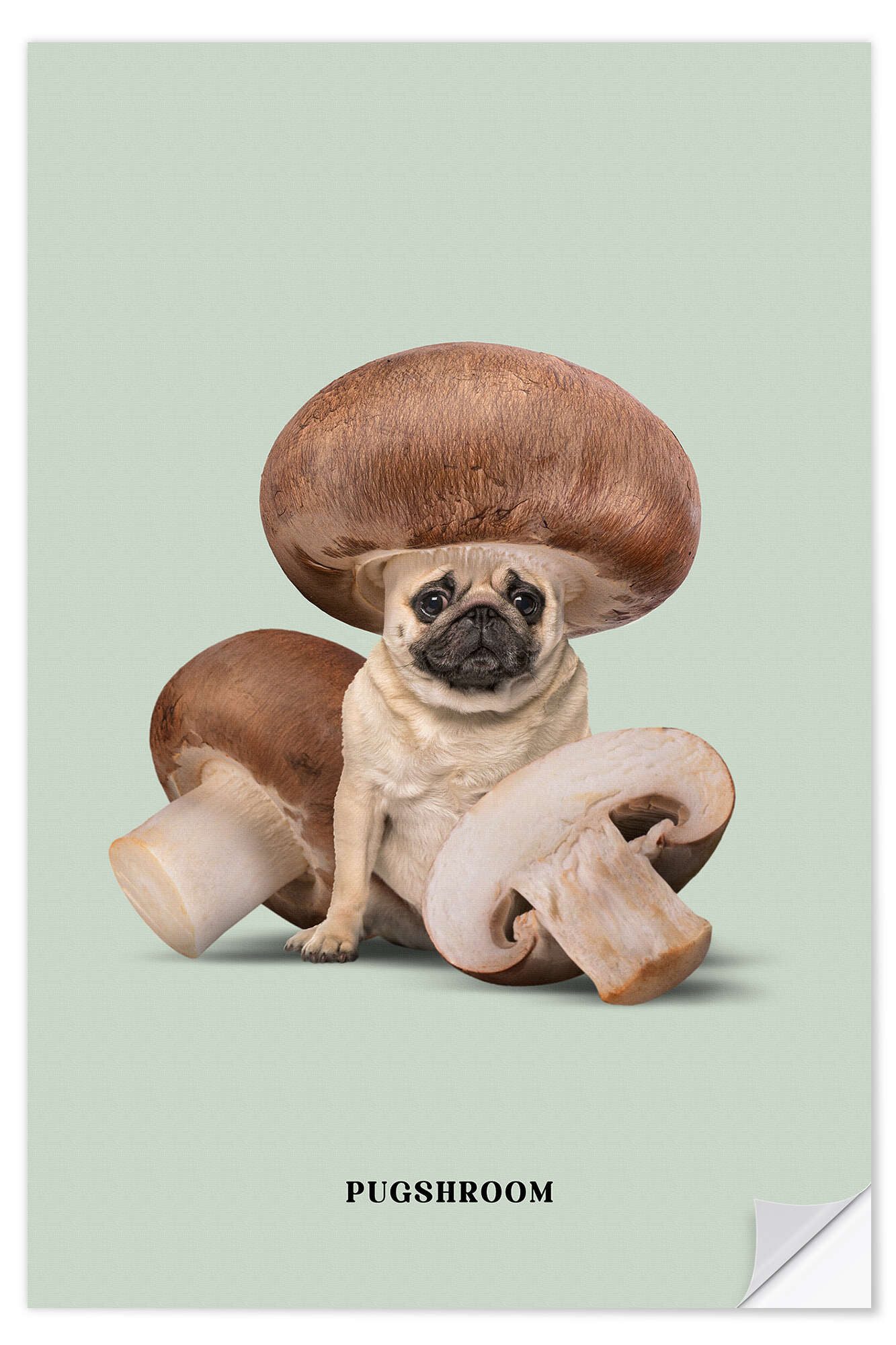 Posterlounge Wandfolie Jonas Loose, Pugshroom, Illustration