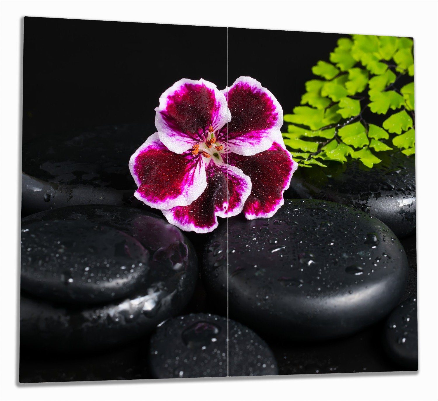 Wallario Herd-Abdeckplatte Geranienblüte auf schwarzen Steinen, benetzt mit Wassertropfen, ESG-Sicherheitsglas, (Glasplatte, 2 tlg., inkl. 5mm Noppen), verschiedene Größen