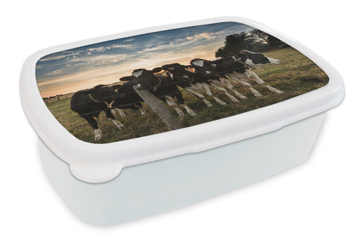 MuchoWow Lunchbox Kühe - Tiere - Bauernhof, Kunststoff, (2-tlg), Brotbox für Kinder und Erwachsene, Brotdose, für Jungs und Mädchen weiß