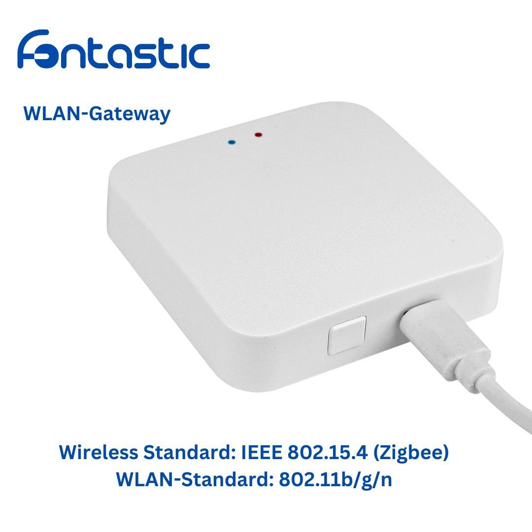 fontastic WLAN-Modul WLAN-Gateway, Gateway