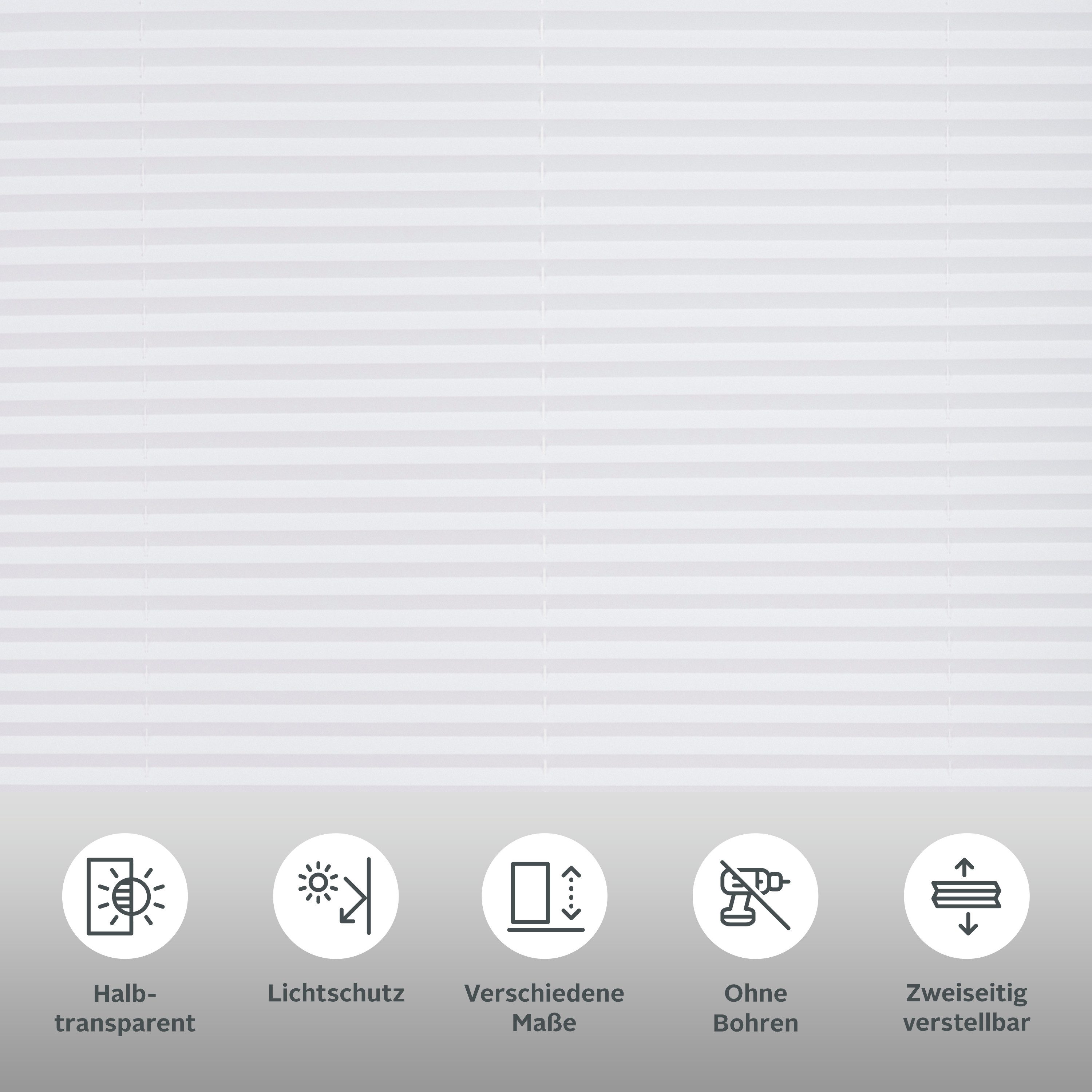 OTTO home Plissee LAHOLM, Lichtschutz, ohne Bohren, verspannt, Klemmfix, Fixmaß, Bestseller mit über 3500 4,5-Sterne-Bewertungen, Klemmträger