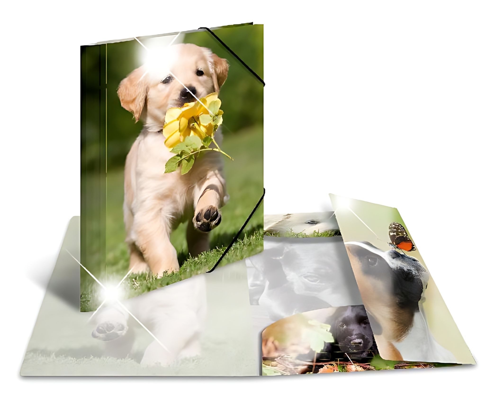 HERMA Organisationsmappe Herma Sammelmappe Eckspanner PP A4 Glossy Hunde