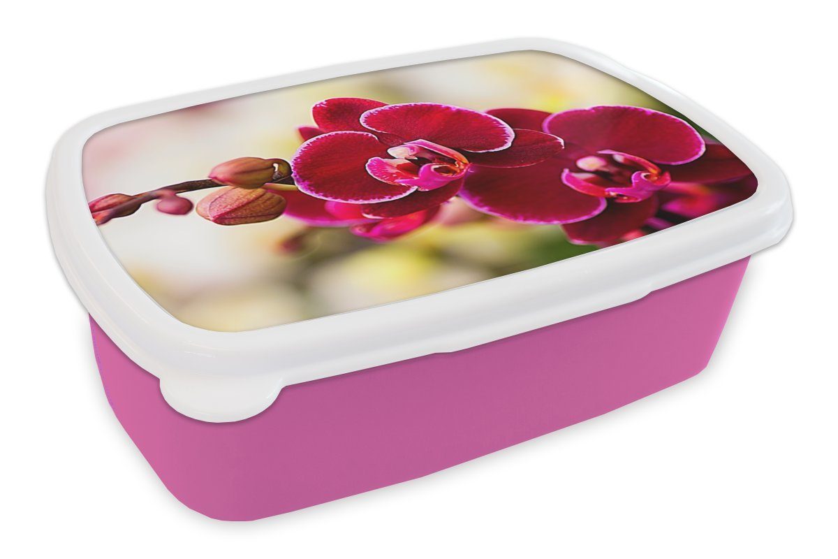 MuchoWow Lunchbox Nahaufnahme vor Snackbox, Hintergrund, unscharfen Brotdose einem Kunststoff roten Kinder, Orchideen Kunststoff, Brotbox für von rosa Erwachsene, (2-tlg), Mädchen