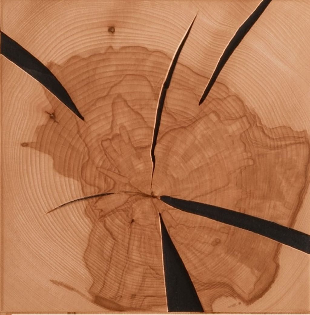 Main Möbel TV-Board TV Element Lowboard 150x62cm Kernbuche Danzig