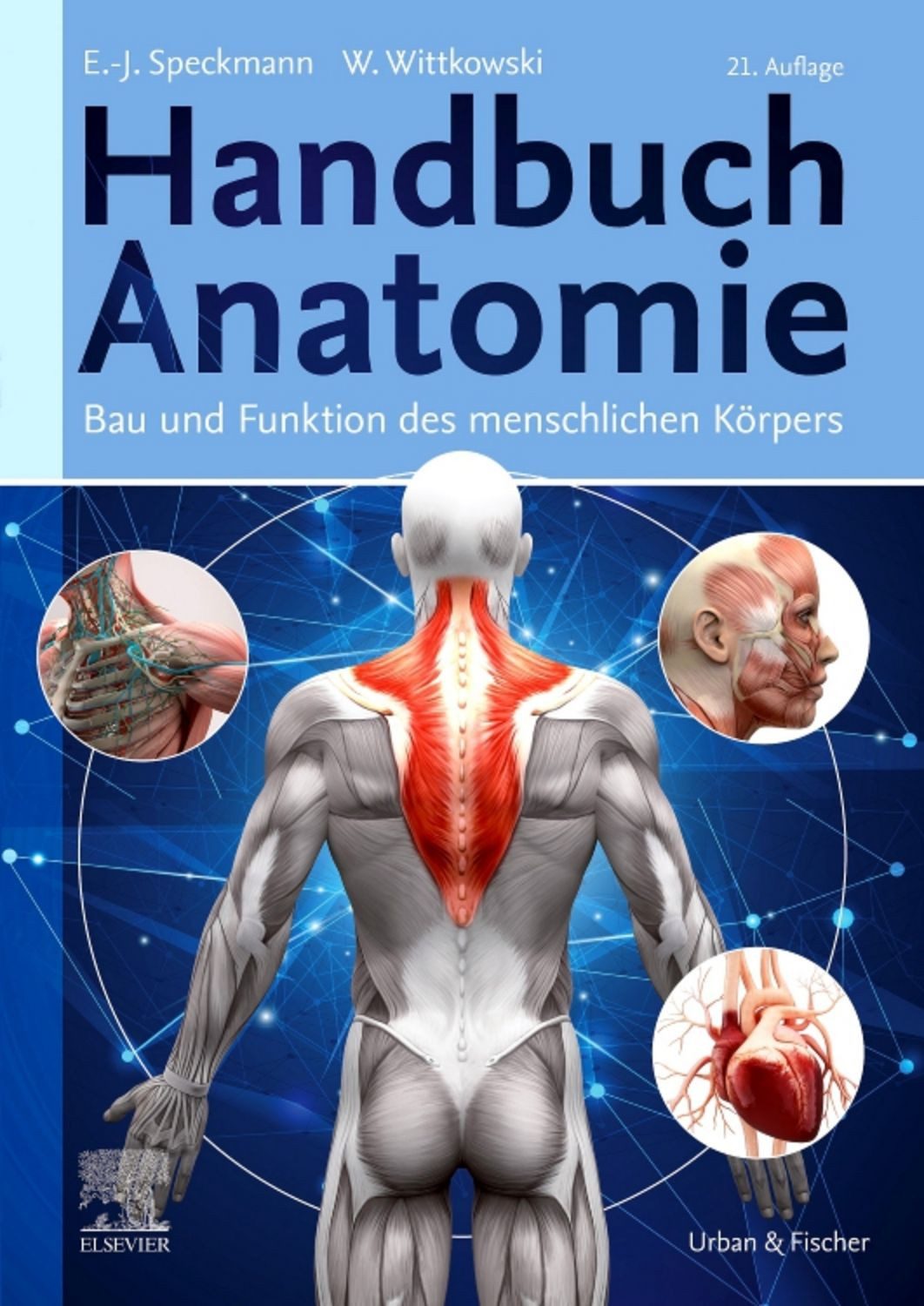 Handbuch Anatomie / diverse