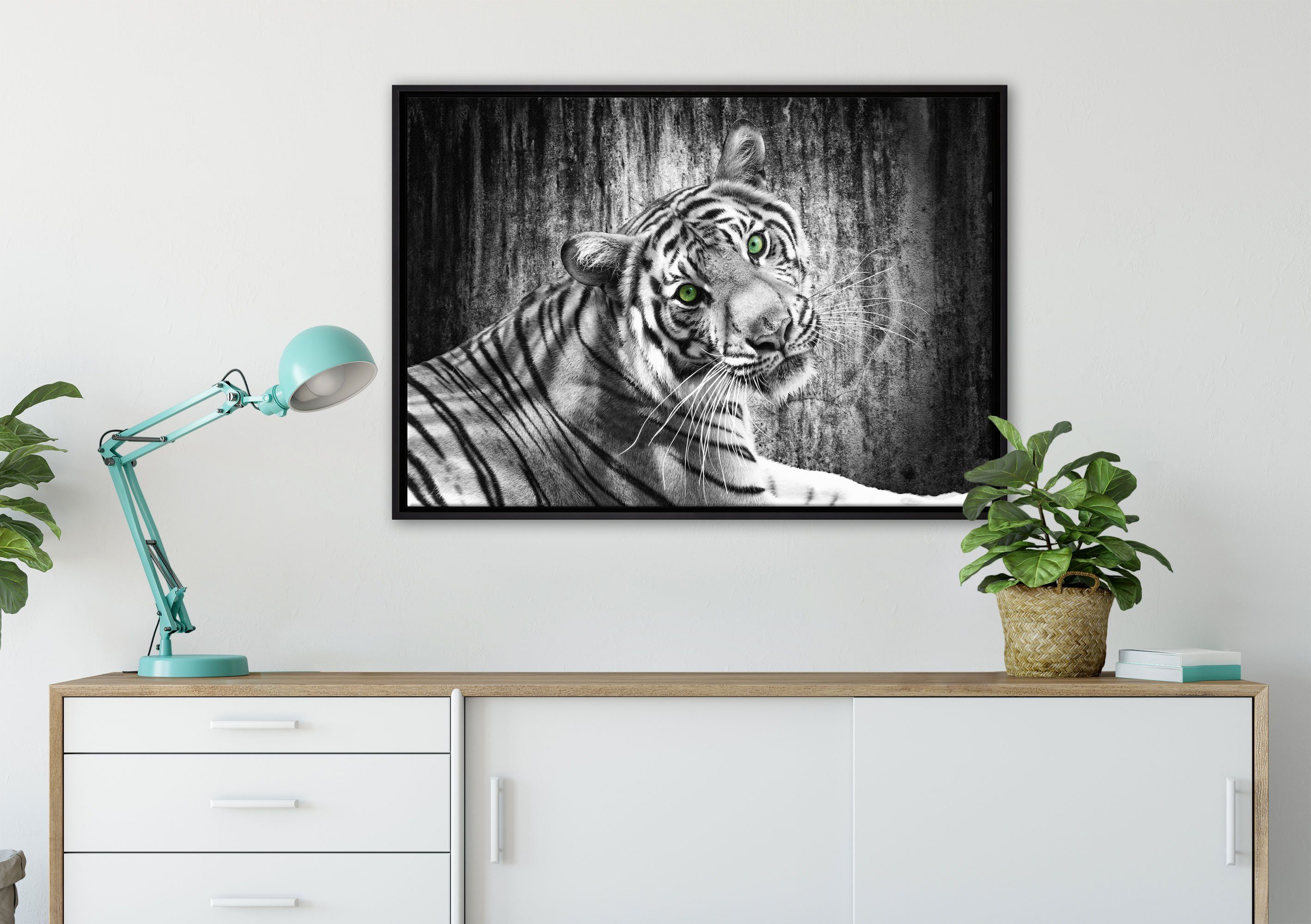 Tiger, St), inkl. einem (1 Leinwandbild gefasst, neugieriger Wanddekoration Pixxprint schöner in fertig Schattenfugen-Bilderrahmen Leinwandbild bespannt, Zackenaufhänger