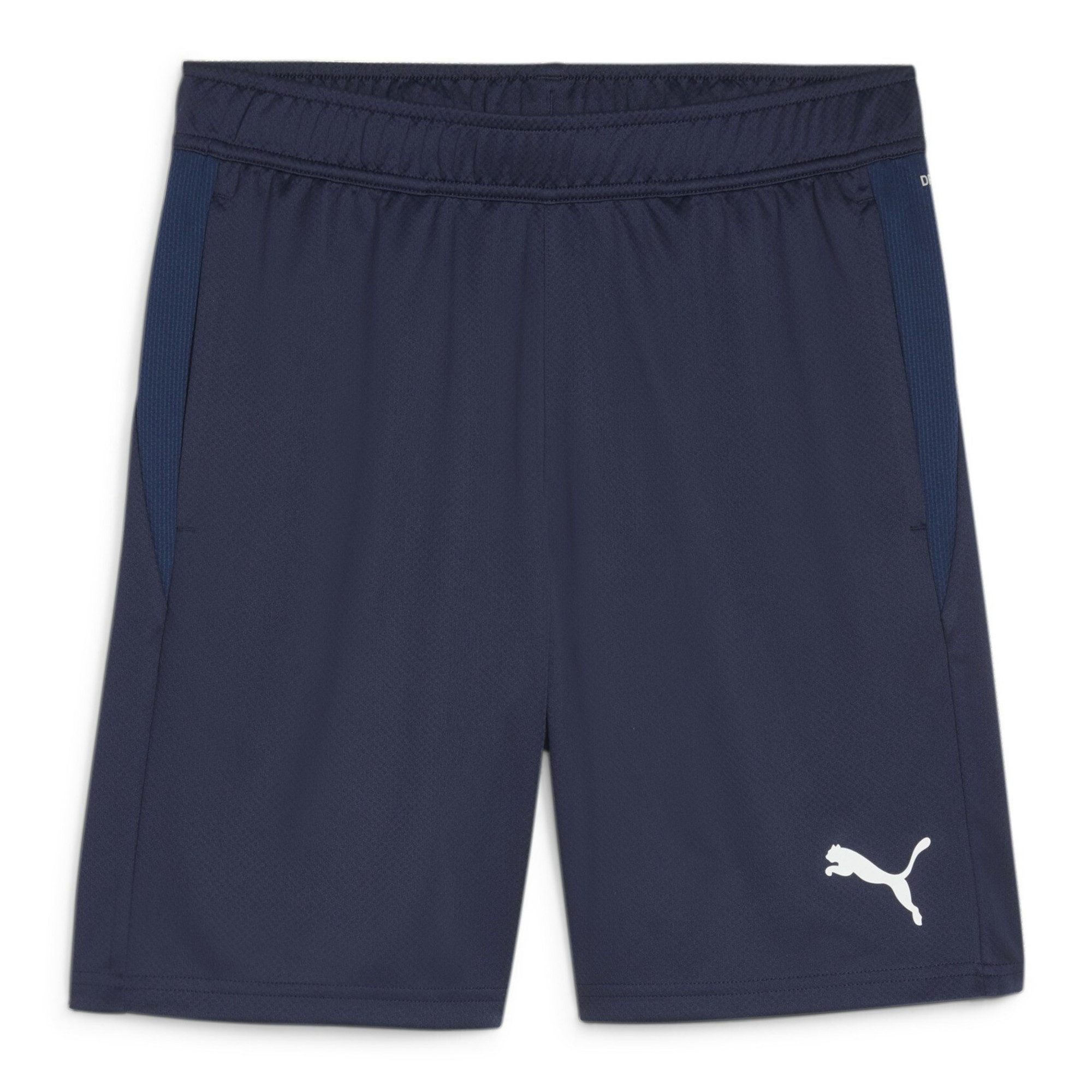 Trainingsshorts Puma Herren Short teamGOAL Training Short 658643