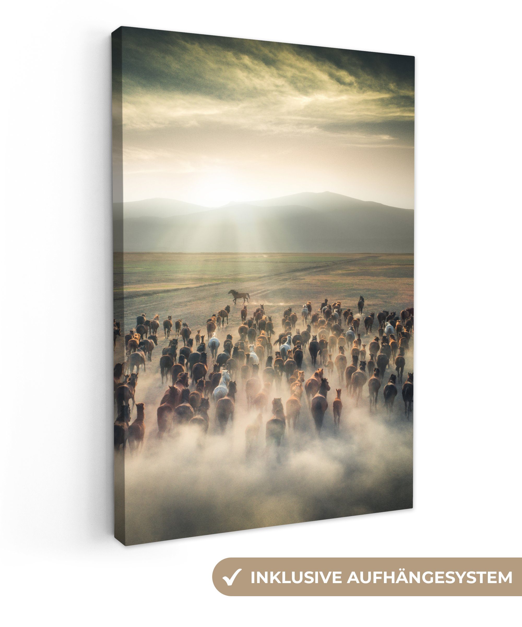 OneMillionCanvasses® Leinwandbild Pferde - Natur - günstig online kaufen