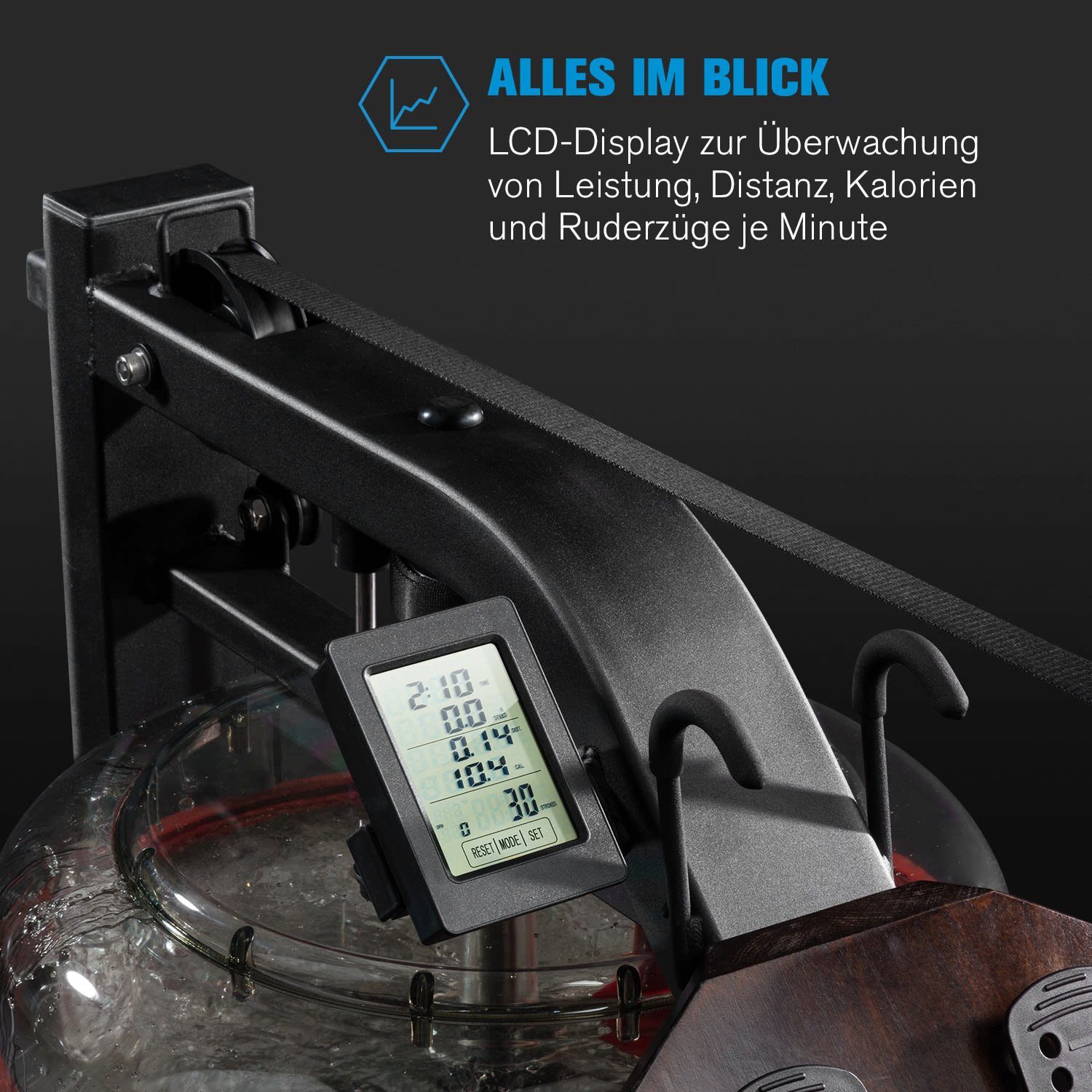 2.0 Stoksman Buche dunkel (Trainingscomputer Sports LCD-Display) mit Rudermaschine Capital