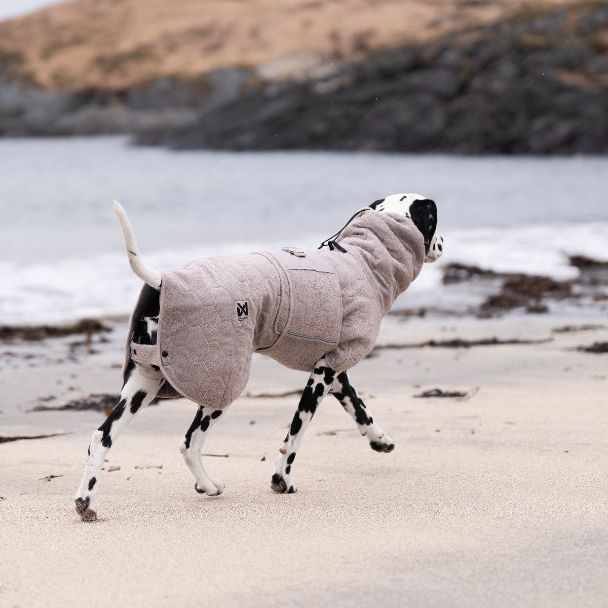 Non-stop dogwear Hundebademantel Bademantel Drying coat sand