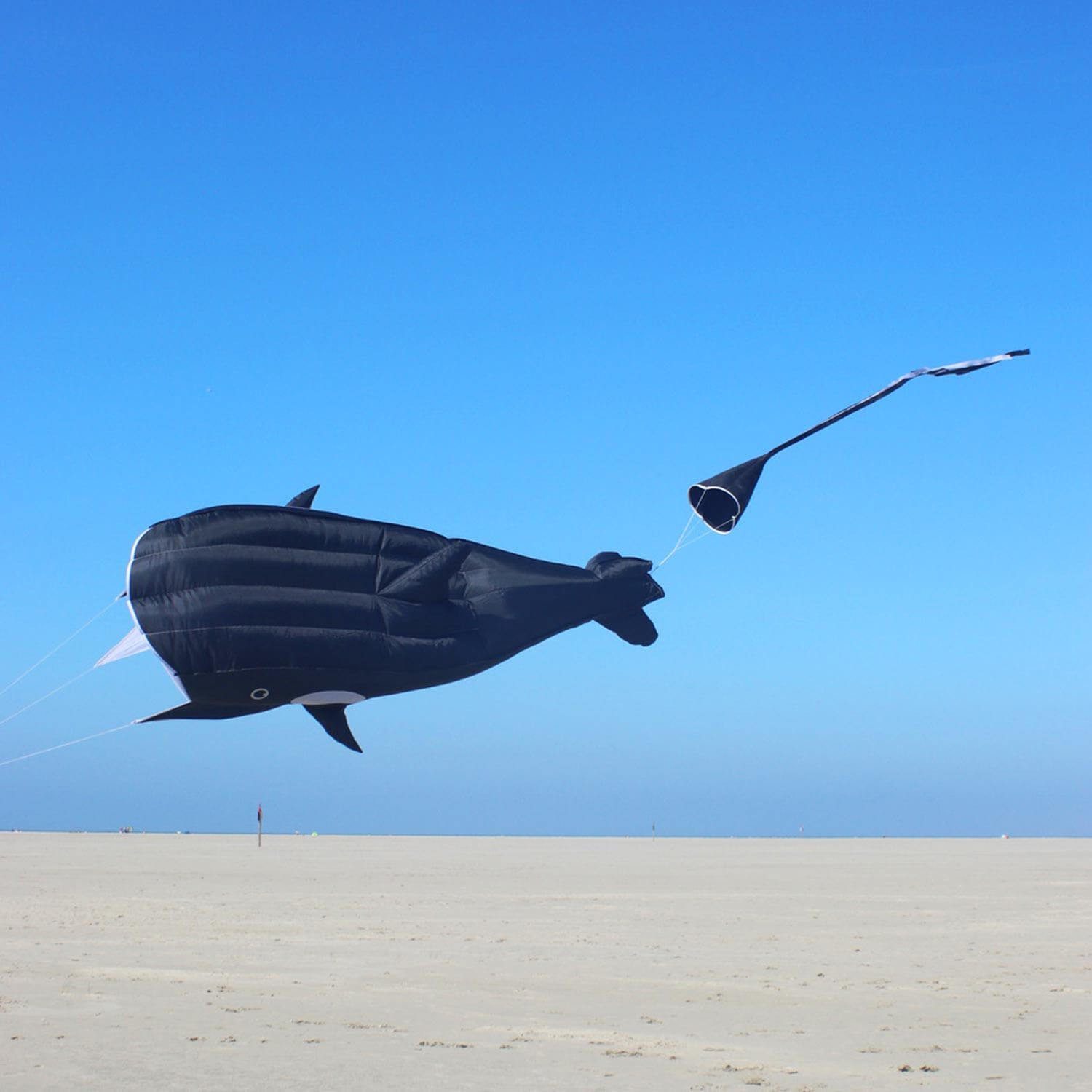 Wolkenstürmer Flug-Drache für Kinder Outdoor Flugspaß und Familie, (Tierdrachen für Kinder - Outdoor Spaß für Garten und Urlaub, 1-tlg), Willi the Whale 3D Kinderdrachen Wal