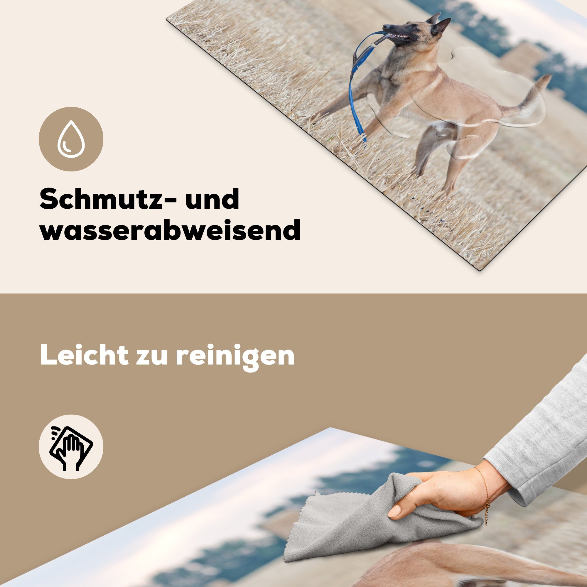 einer 81x52 Heuballen Schutz Induktionskochfeld cm, Malinois-Schäferhund MuchoWow Vinyl, die für Herdblende-/Abdeckplatte auf tlg), zwischen Wiese, Ein den Ceranfeldabdeckung küche, (1