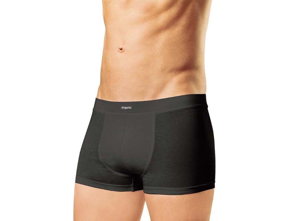 Boxershorts memo Bio-Herren-Pants, 2 Stk.