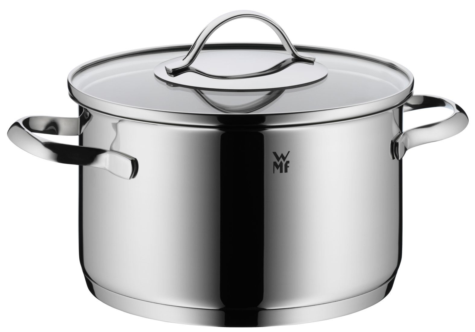 WMF Fleischtopf Aparto, Cromargan Edelstahl Rostfrei 18/10 (1-tlg., großer Topf (20 cm) mit Glasdeckel, Induktion 3,3l), unbeschichtet, induktionsgeeignet