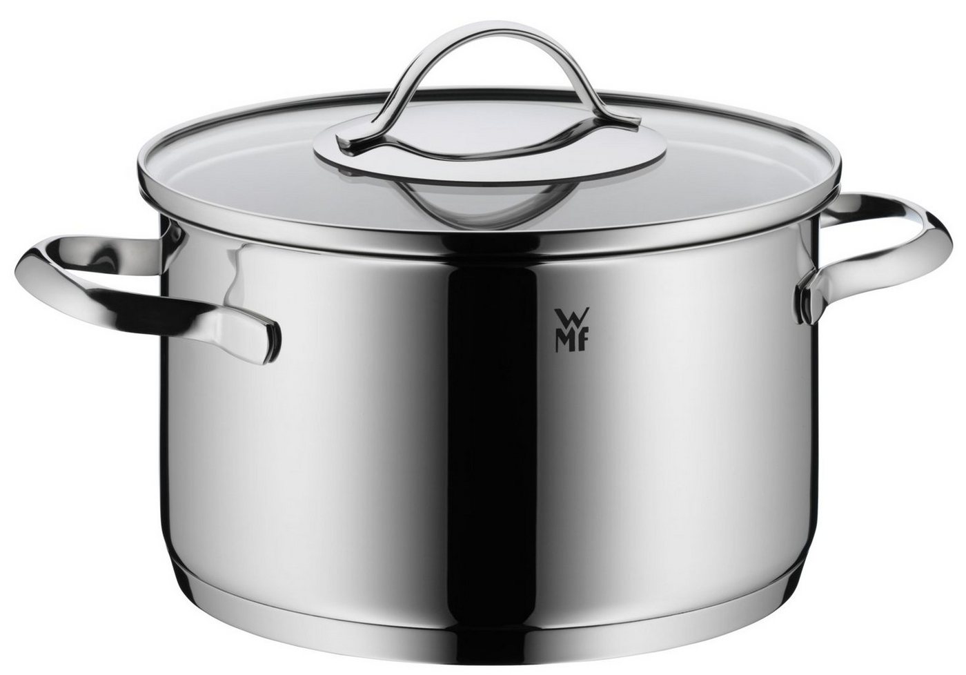 WMF Fleischtopf Aparto Kochtopf mit Deckel, 20 cm, Cromargan Edelstahl Rostfrei 18/10 (1-tlg., großer Topf (20 cm) mit Glasdeckel, Induktion 3,3l), unbeschichtet, induktionsgeeignet