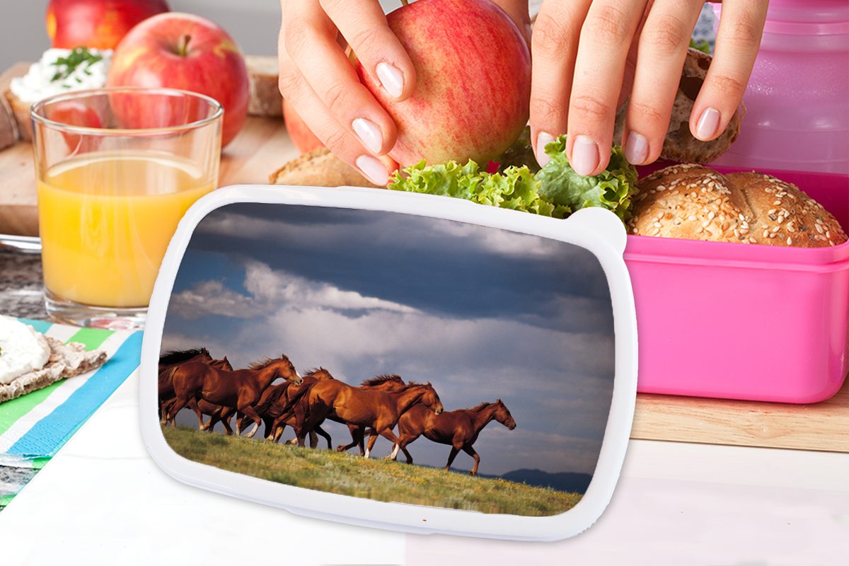 Erwachsene, MuchoWow rosa für Herde Kunststoff, Brotdose Snackbox, (2-tlg), Kinder, Kunststoff von Mädchen, Lunchbox Brotbox wilden Mustang-Pferden,
