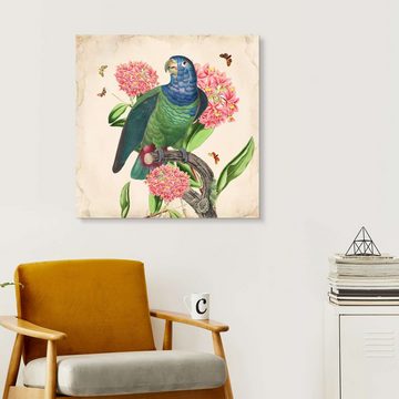 Posterlounge XXL-Wandbild Mandy Reinmuth, Exotische Papageien IV, Wohnzimmer Vintage Grafikdesign