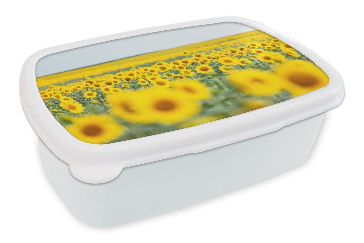 MuchoWow Lunchbox Gelbes Feld voller Sonnenblumen, Kunststoff, (2-tlg), Brotbox für Kinder und Erwachsene, Brotdose, für Jungs und Mädchen weiß