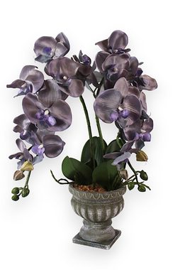 Kunstorchidee künstliche Pflanze mit Topf Zimmerpflanze künstlich Lila Viloett Orchidee, Arnusa, Höhe 60 cm, künstliche Pflanze im Dekotopf