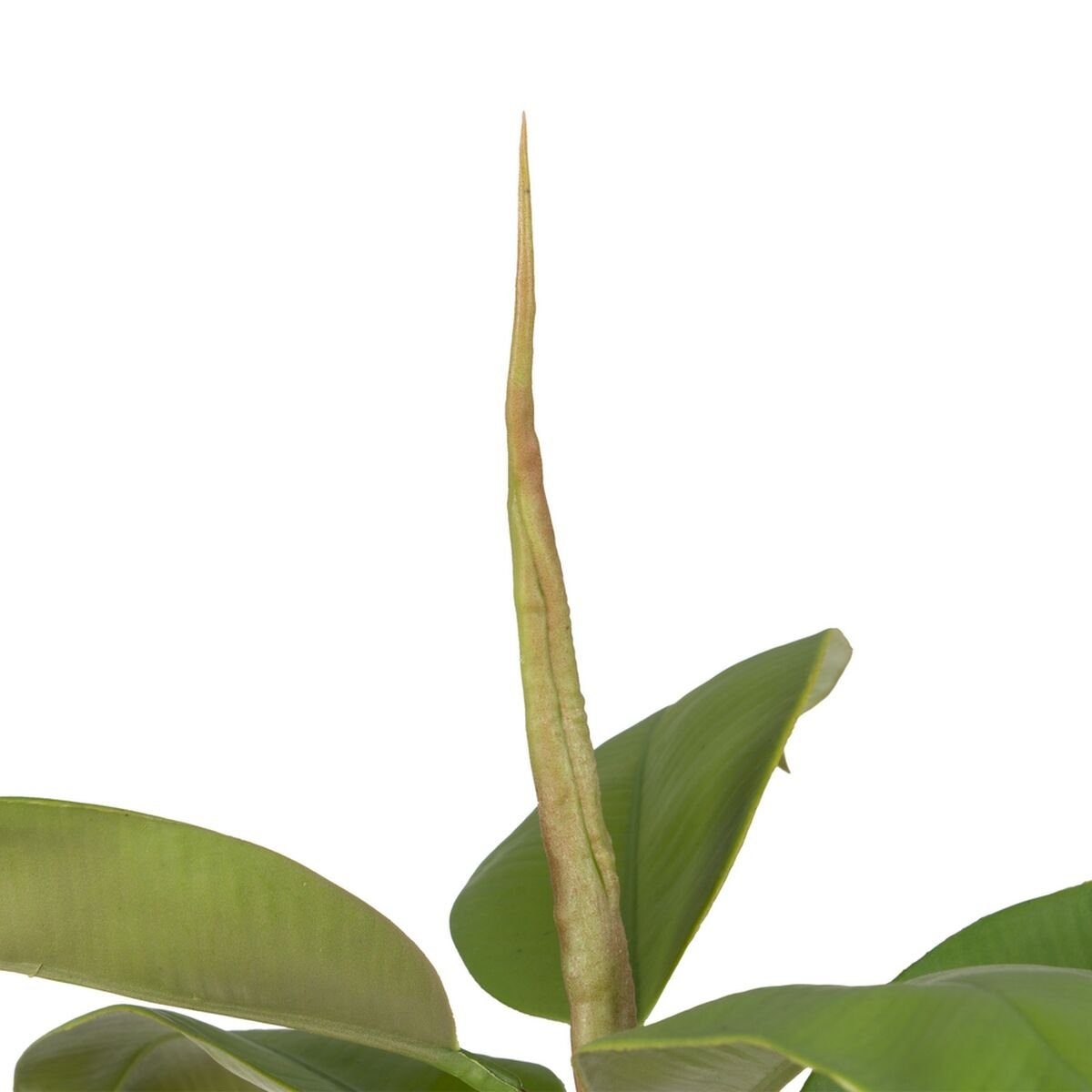 Künstliche Zimmerpflanze Dekorationspflanze 116 cm PVC Höhe Bigbuy, Eg, cm grün 116