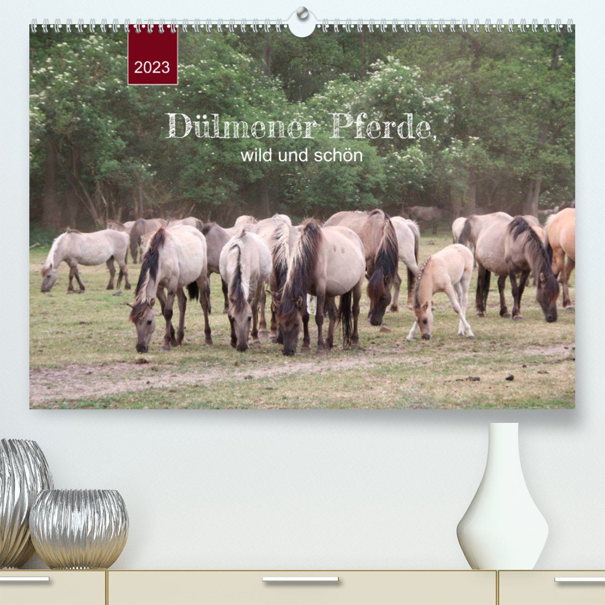 CALVENDO Wandkalender Dülmener Pferde, wild und schön (Premium, hochwertiger DIN A2 Wandkalender 2023, Kunstdruck in Hochglanz)