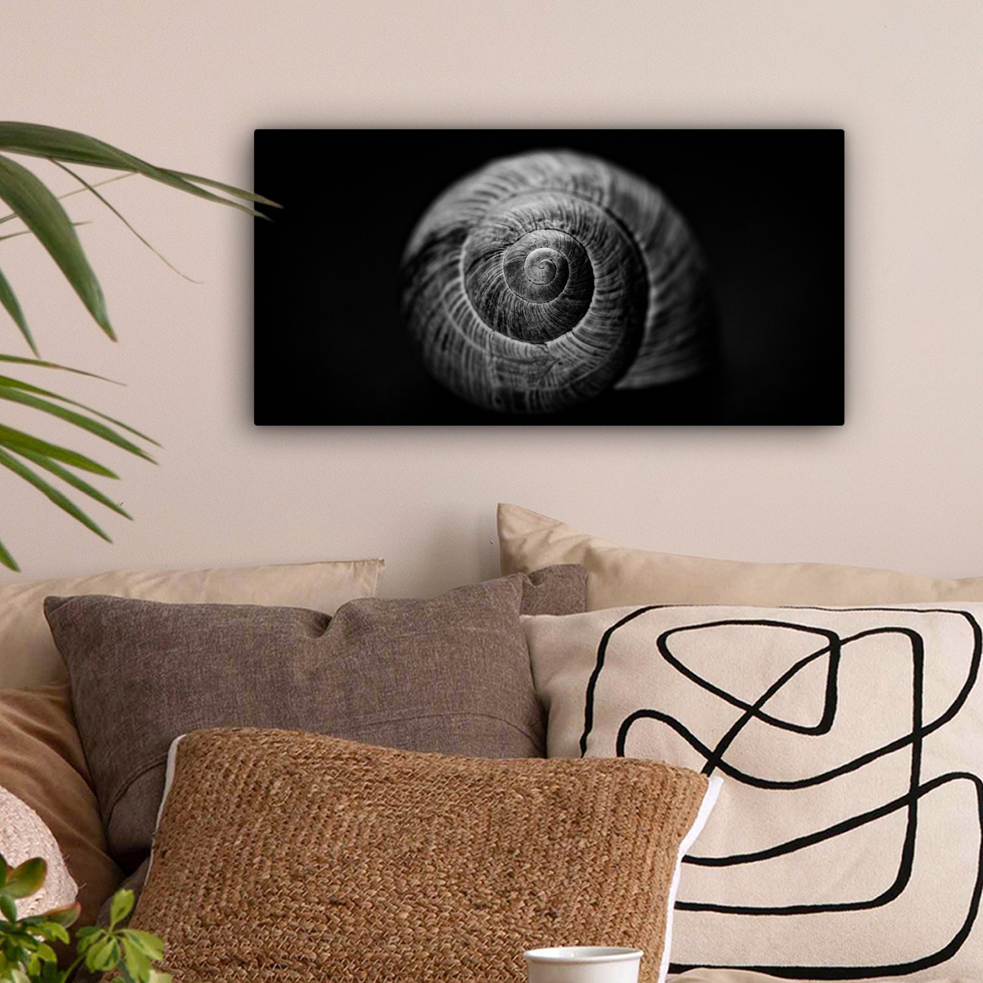 OneMillionCanvasses® Leinwandbild Panorama Schnecke - Tiere günstig online kaufen
