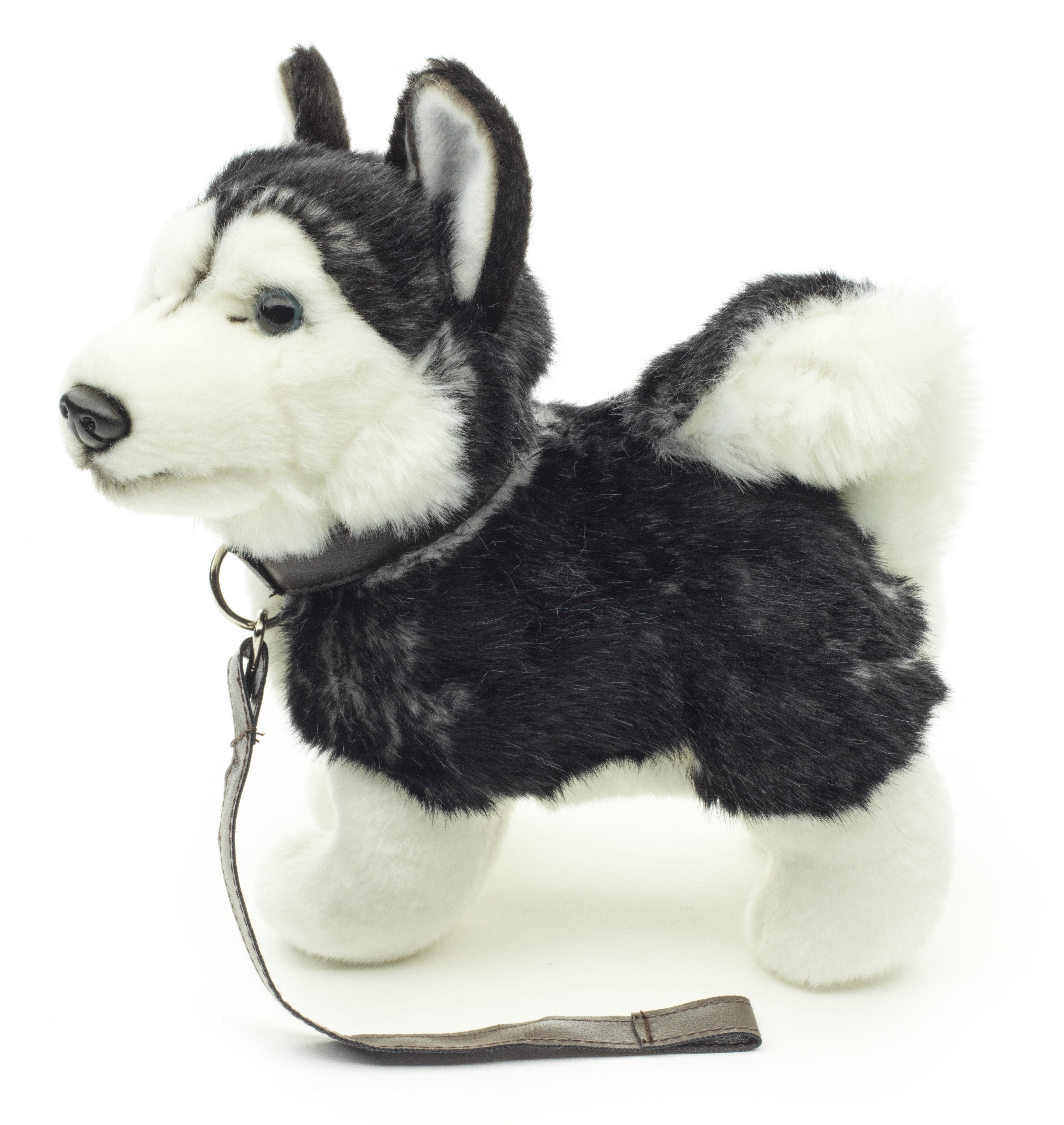 Uni-Toys Kuscheltier stehend cm % Husky recyceltes schwarz, Plüschtier, Plüsch-Hund, - Füllmaterial zu 100 Welpe 24 (mLeine)