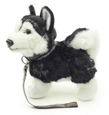 Uni-Toys Kuscheltier Husky Welpe schwarz, stehend (mLeine), 24 cm - Plüsch-Hund, Plüschtier, zu 100 % recyceltes Füllmaterial