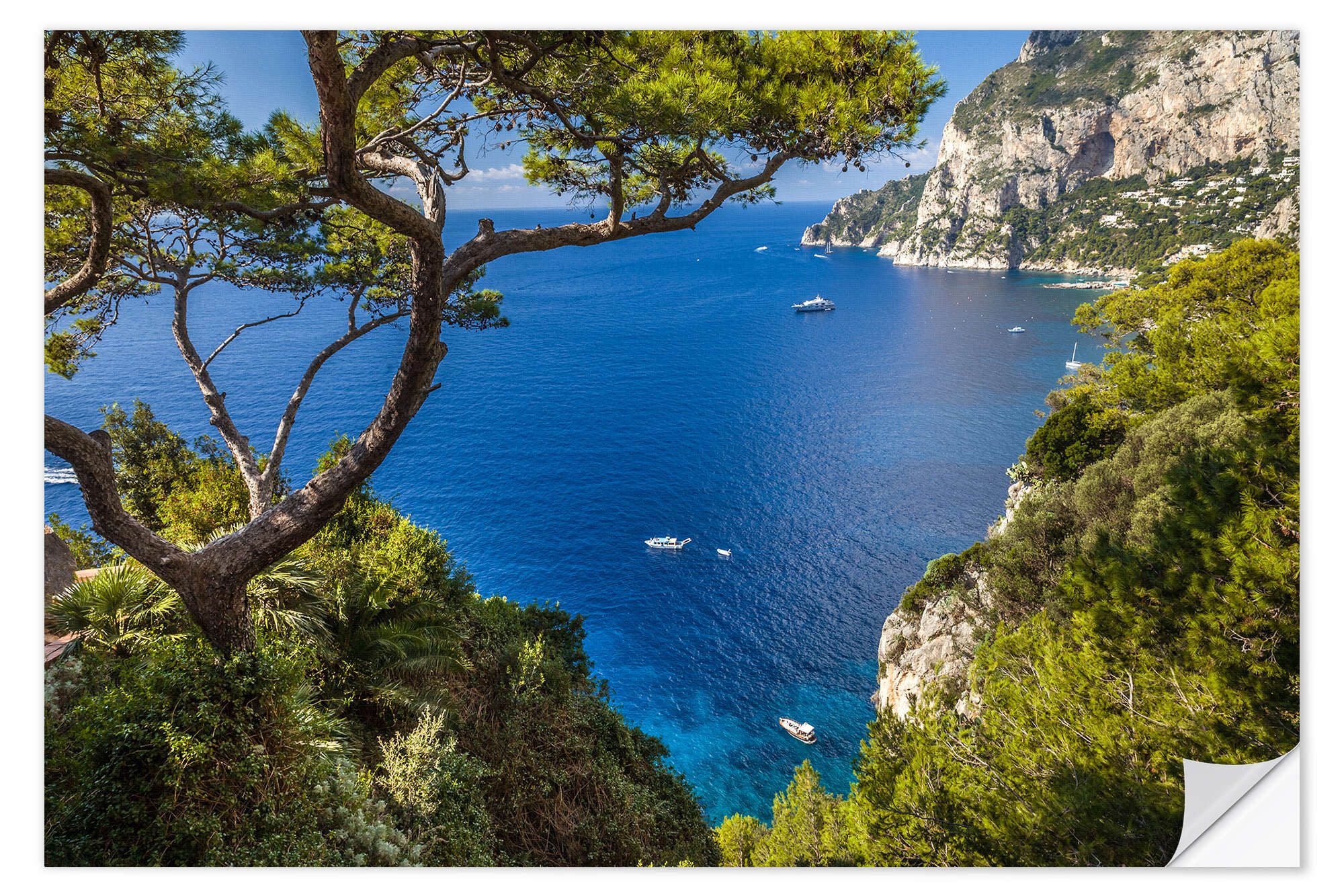 Posterlounge Poster Christian Müringer, Traumhafter Meerblick in Capri (Italien), Badezimmer Maritim Fotografie
