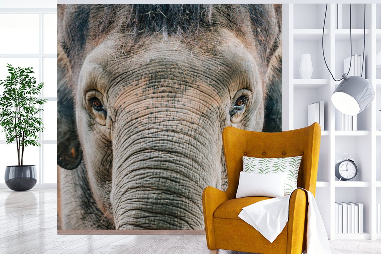 MuchoWow Fototapete Elefant - Porträt Tiere (4 für Wohnzimmer - St), Grau, Fototapete Schlafzimmer - Matt, bedruckt, Vliestapete Küche