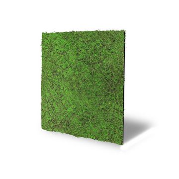 JANGAL 3D Wandpaneel Modular Wall, 520 x 520 mm, Nature Design, Wald