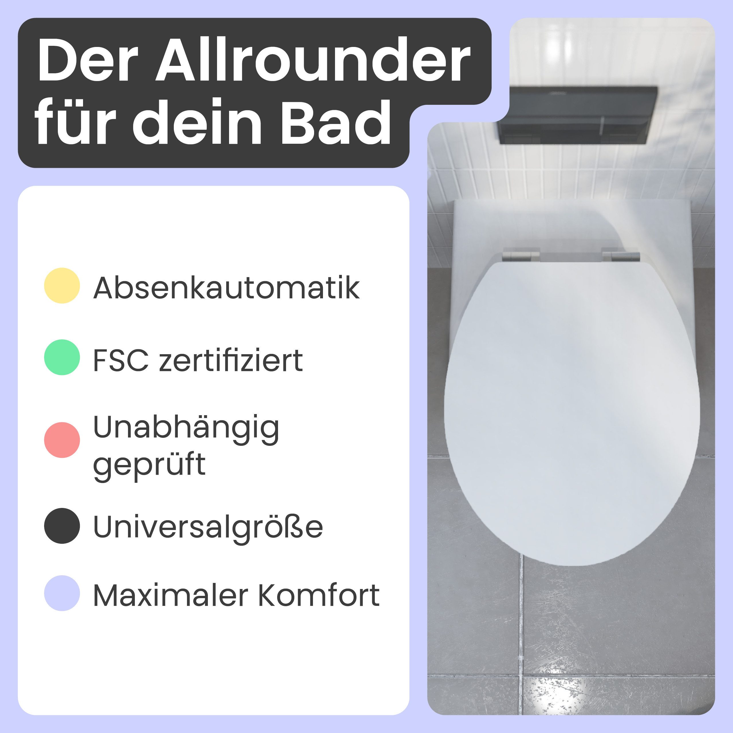 instmaier WC-Sitz Gaia Holz Toilettendeckel, Manhattan-Grau, mit doppelter günstig online kaufen