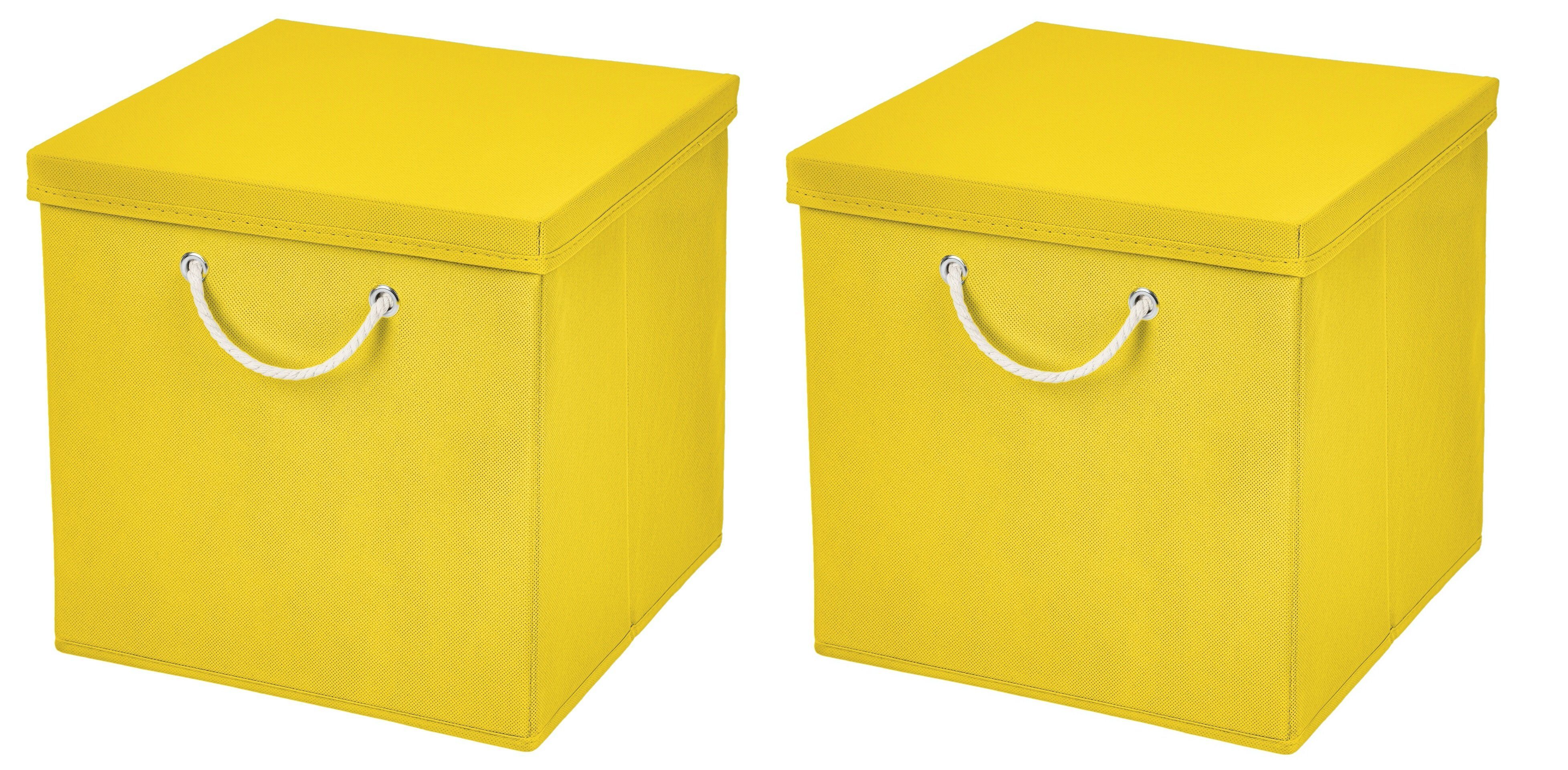 StickandShine Faltbox 2 Stück 30x30 cm perfekt für KALLAX – 19 trendige Farben zur Auswahl
