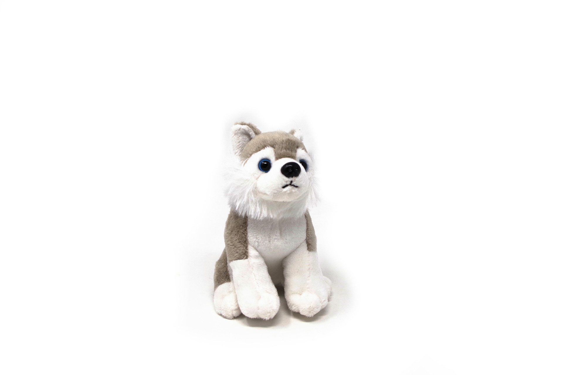 Cornelißen Kuscheltier Cornelissen - Kuscheltier - Husky