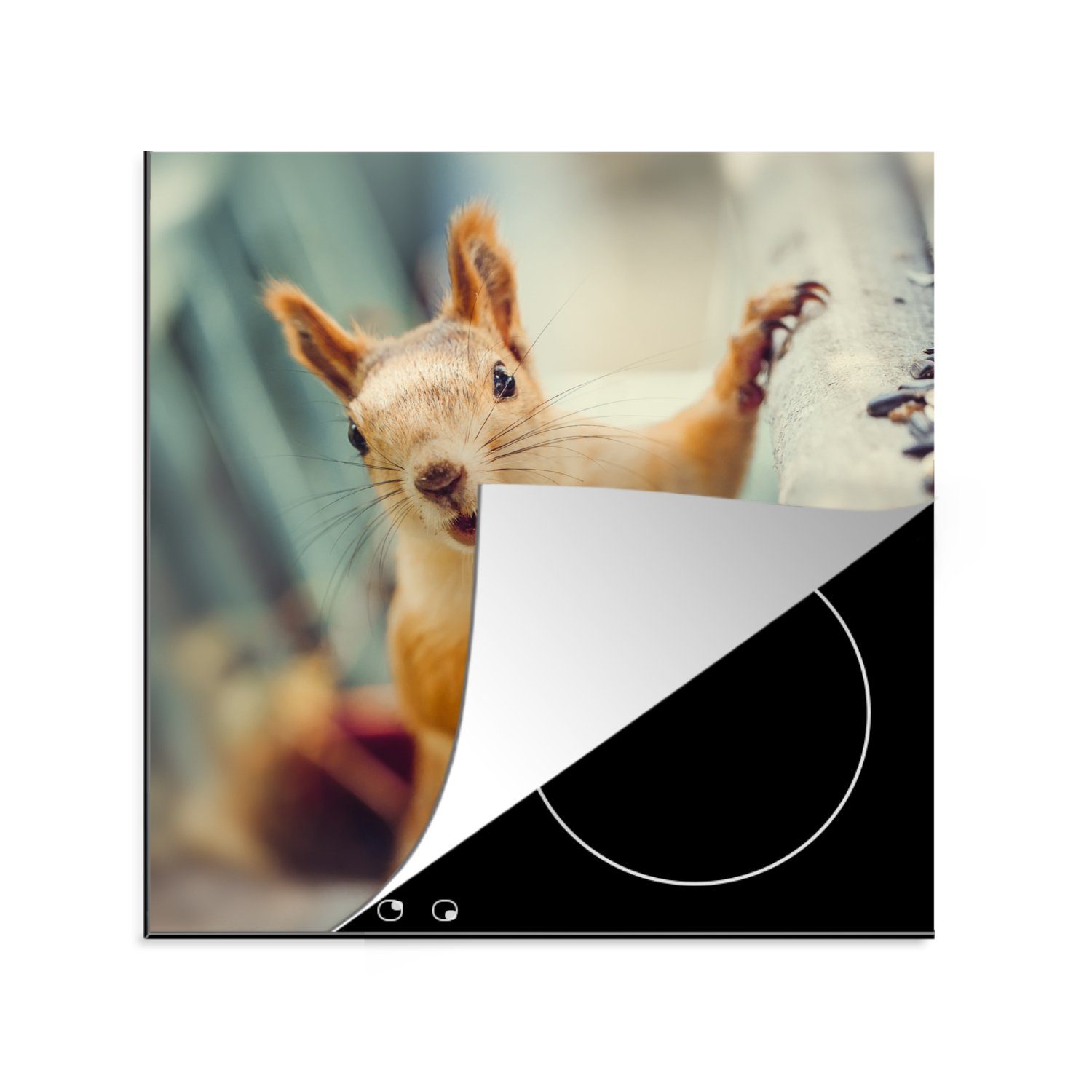 MuchoWow Herdblende-/Abdeckplatte Eichhörnchen - 78x78 - cm, Ceranfeldabdeckung, (1 Herbst Arbeitsplatte für Porträt, - Vinyl, tlg), küche Tier