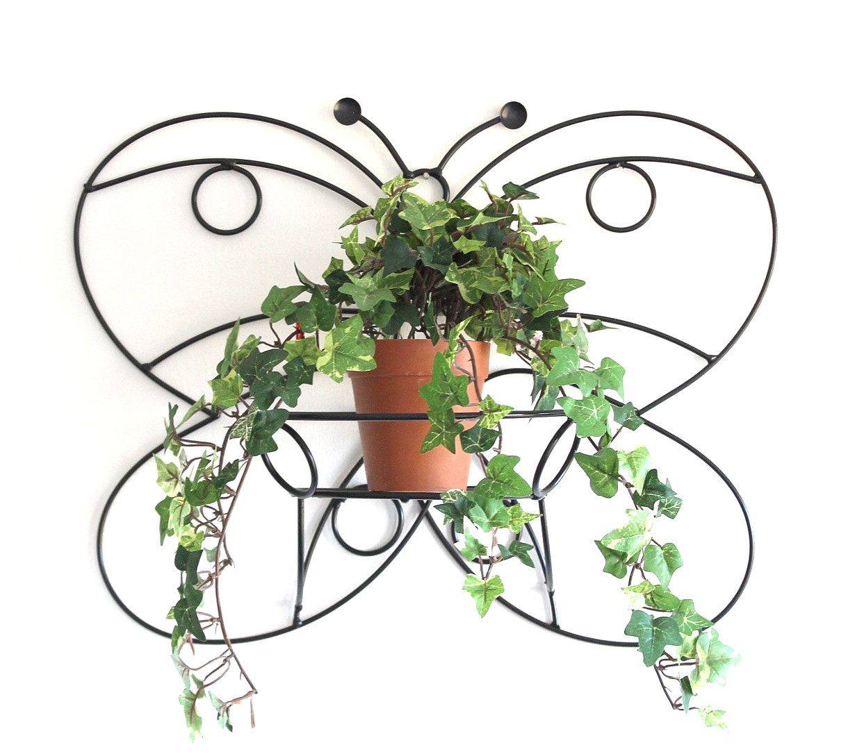 DanDiBo Blumenampel Wandtopfhalter Metall Schwarz 50 cm Schmetterling Blumenständer KW048, Wandhalter Blumentopfhalter Pflanzenhalter Blumenampel. € 24,99