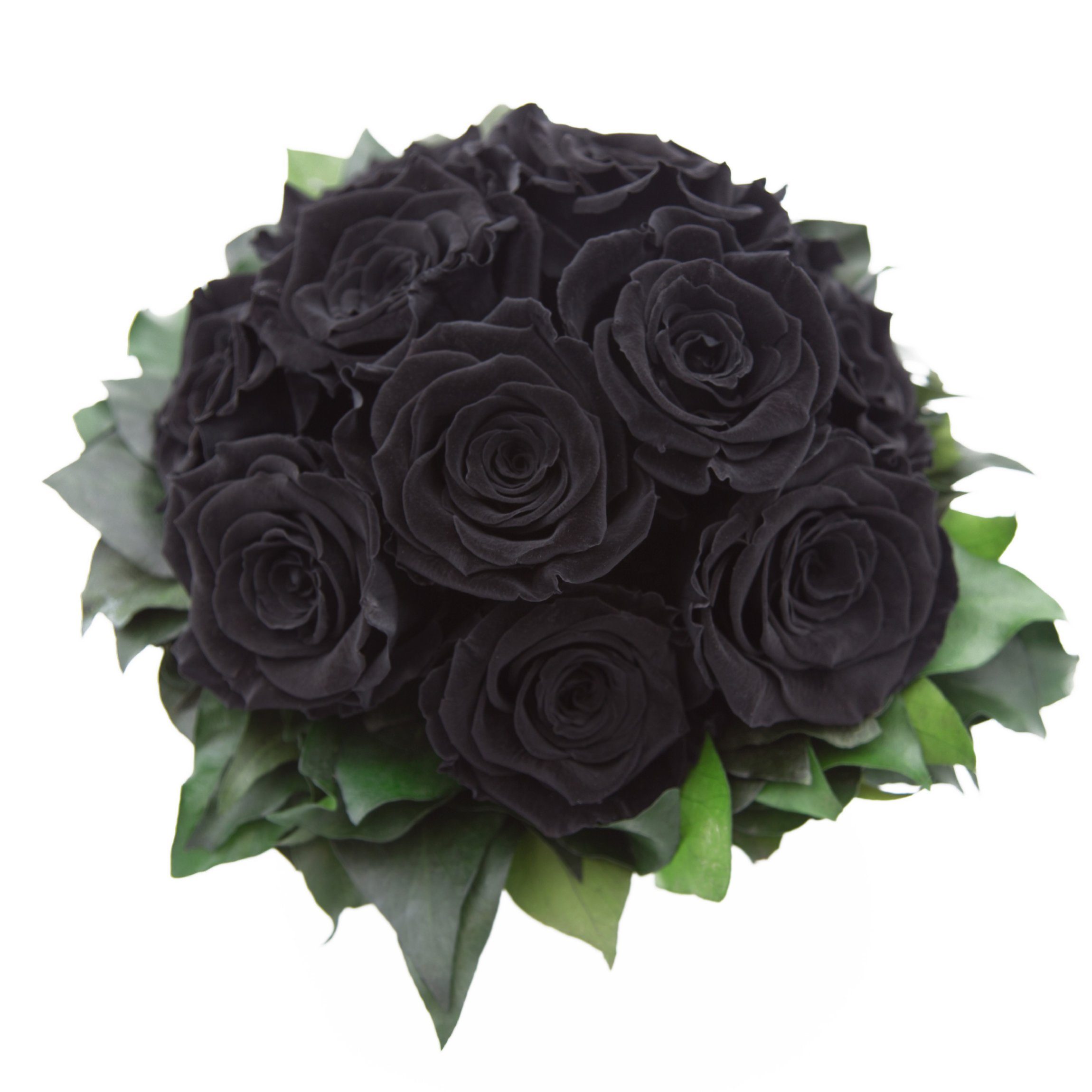 Gestecke Blumengesteck 11 Infinity Rosen in Blumenschale Blumenstrauß Rosenbox Rose, ROSEMARIE SCHULZ Heidelberg, Höhe 18 cm, Echte Blumen 3 Jahre haltbar, Geschenk für Frauen, Made in Germany