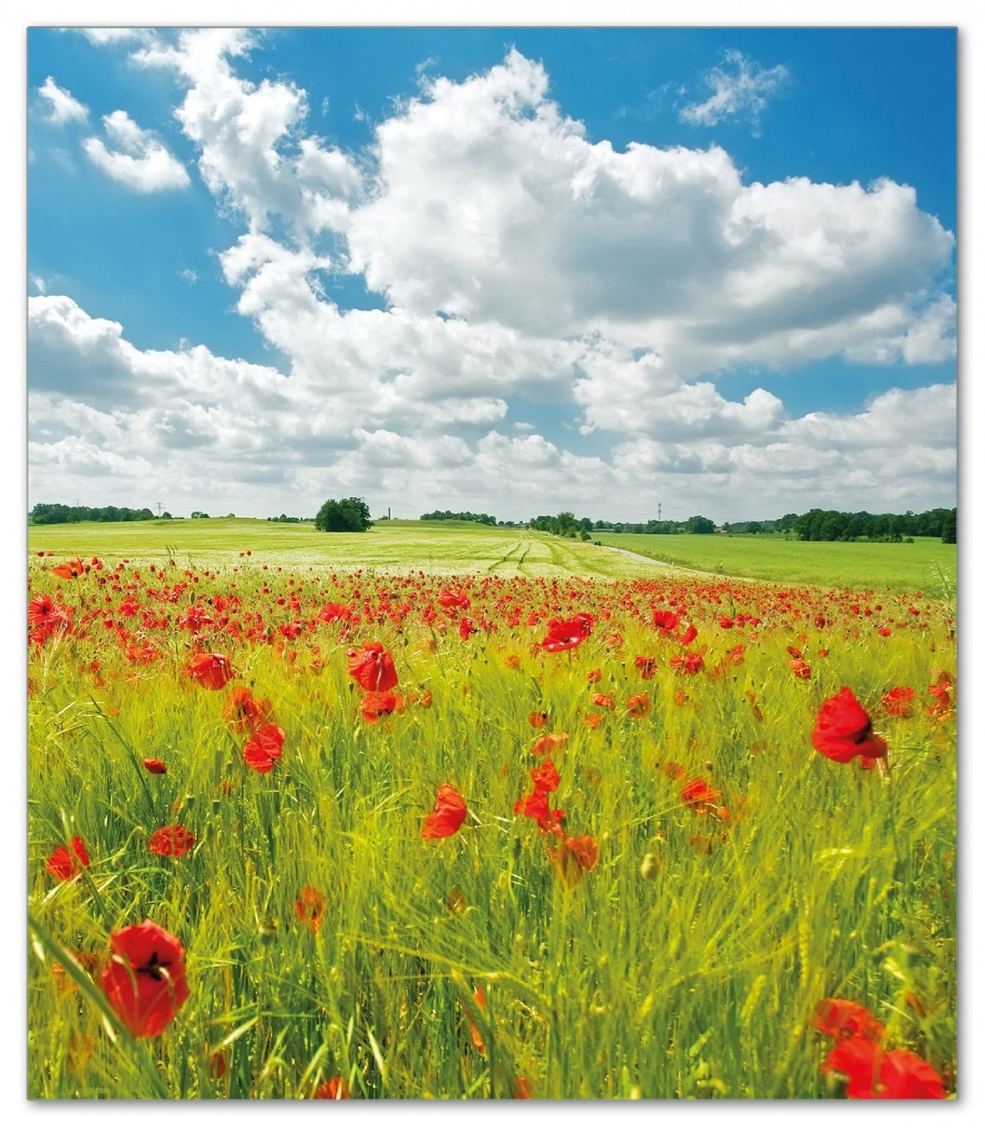 Herd-Abdeckplatte Grüne Wiese mit Mohnblumen