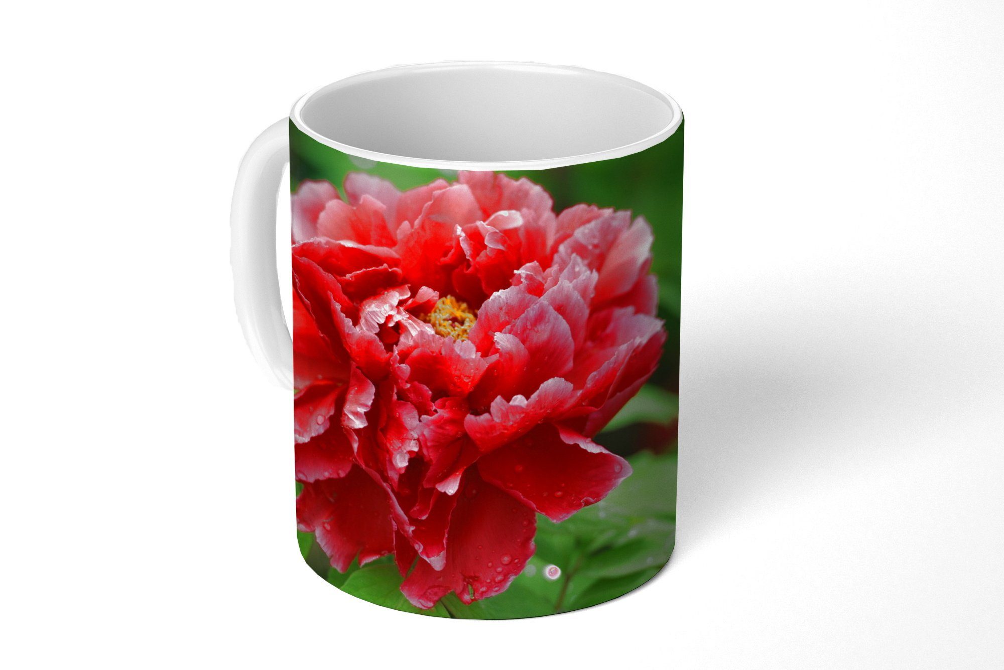MuchoWow Tasse Eine rote Pfingstrose im Frühling, Keramik, Kaffeetassen, Teetasse, Becher, Teetasse, Geschenk