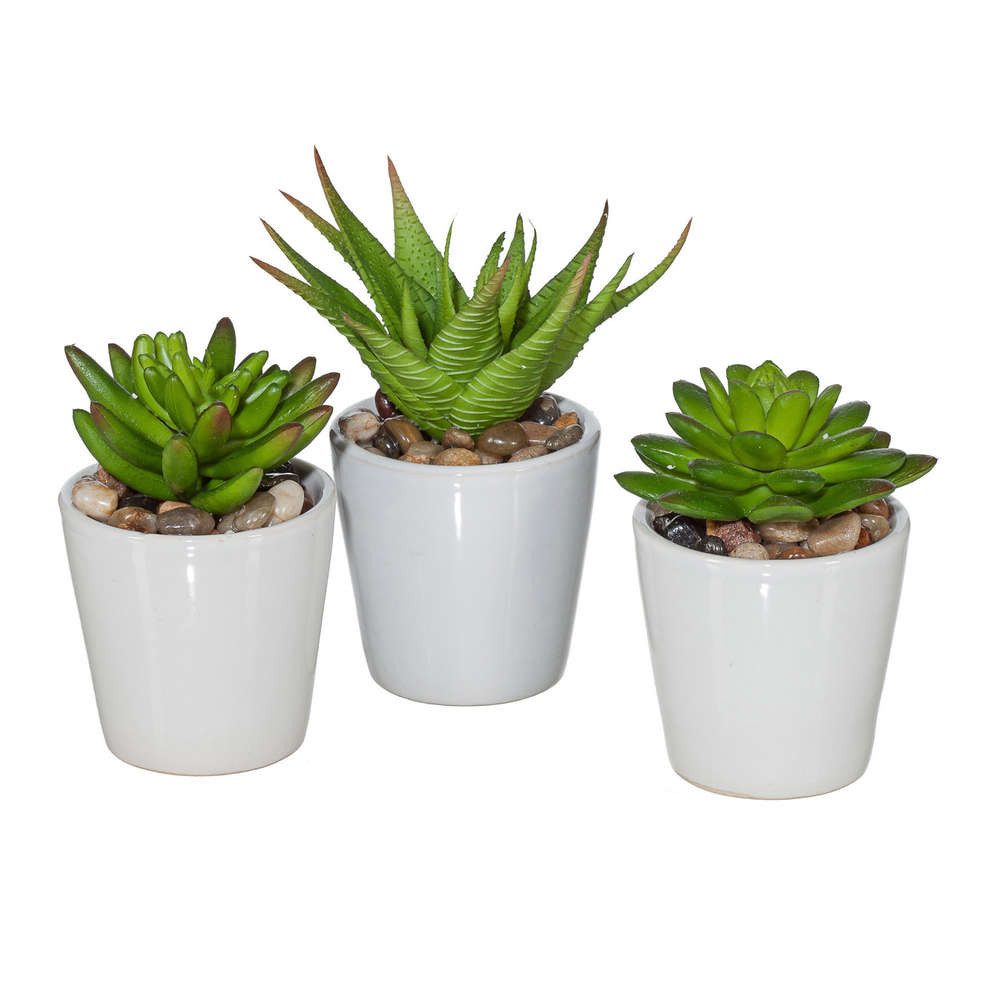 Kunstkaktus Künstlicher Sukkulentenmix im Topf. 3er Set Kunstpflanzen ca.11-13cm, Gasper, Höhe 13.00 cm