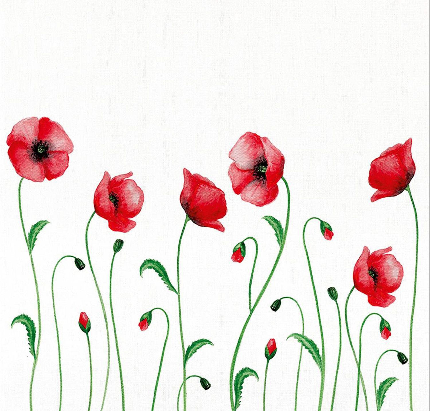 Kracht Geschirrtuch Mohnblume, (3-tlg., 3-teilig), 3er günstig online kaufen