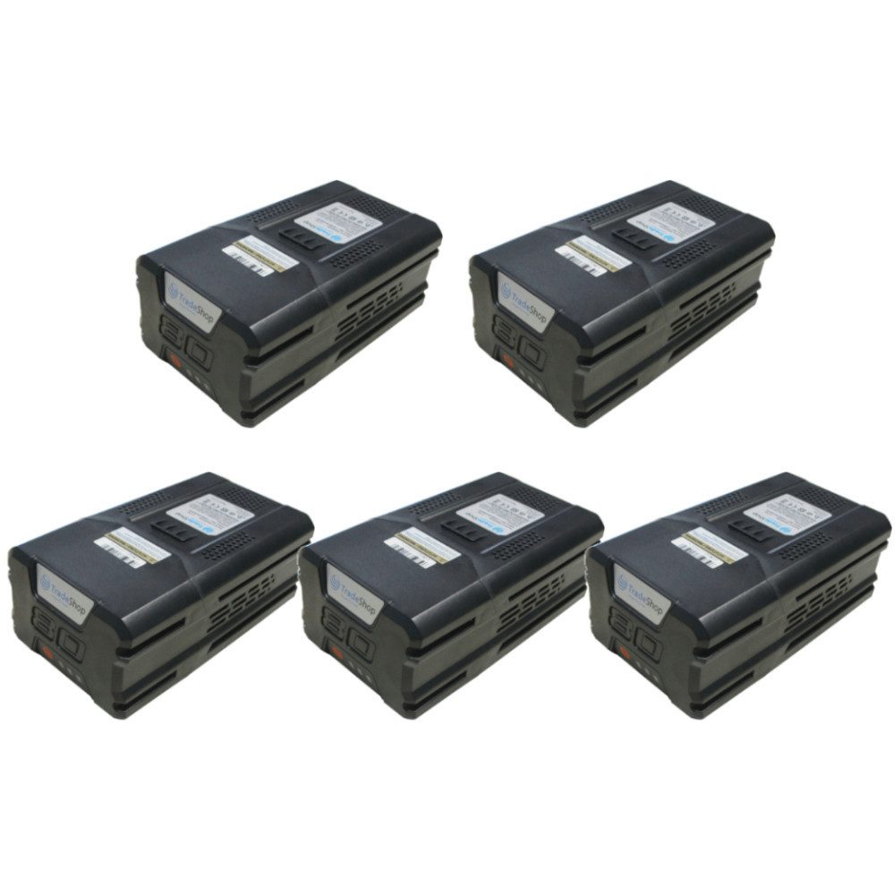 5x Akku passend für Stiga SBT 2580 AE, SBT 4080 AE, SBT 5080 AE Akku