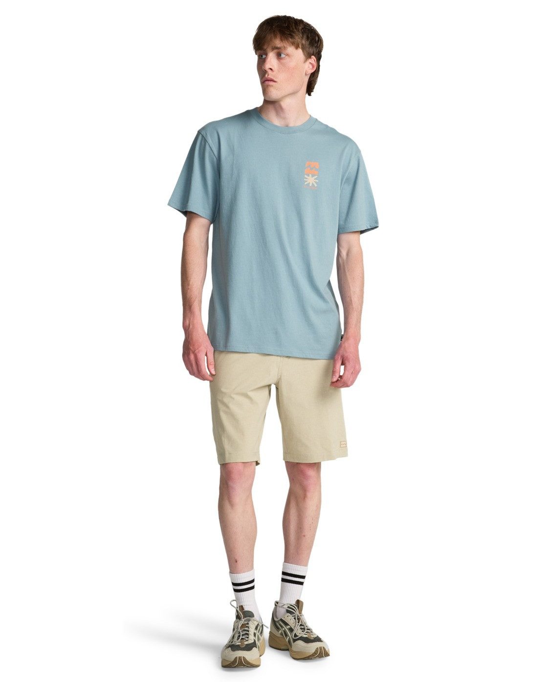 Billabong T-Shirt Segment günstig online kaufen