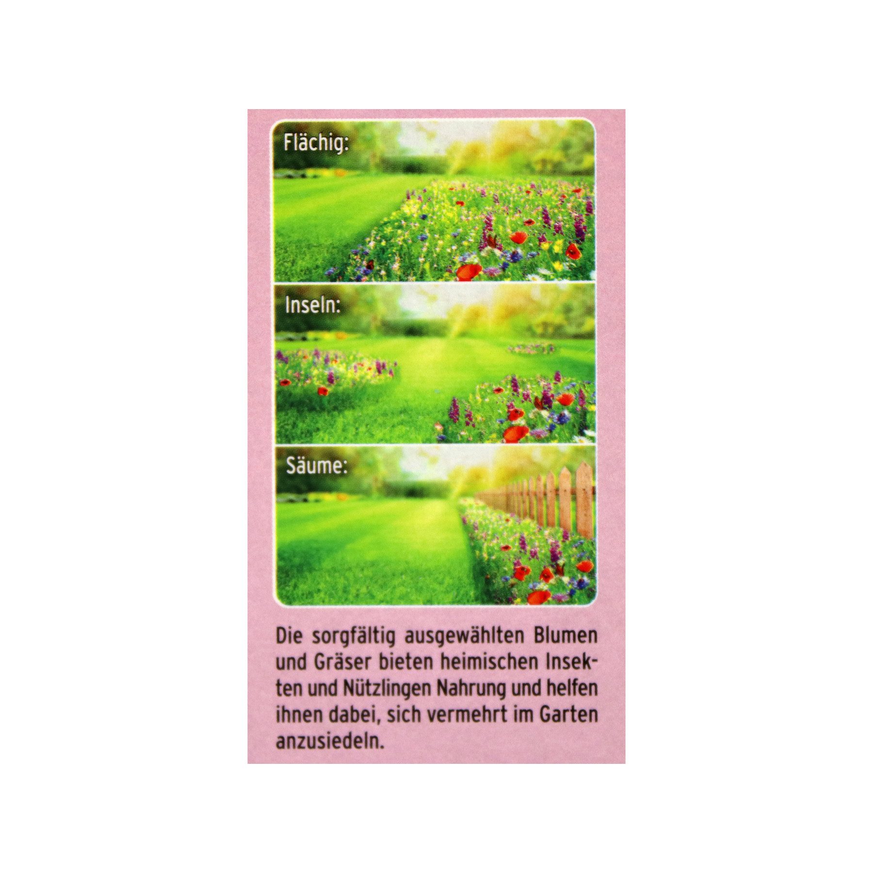 Substral Blumensamen SUBSTRAL Saatmischung Blumenwiese, 800 günstig online kaufen