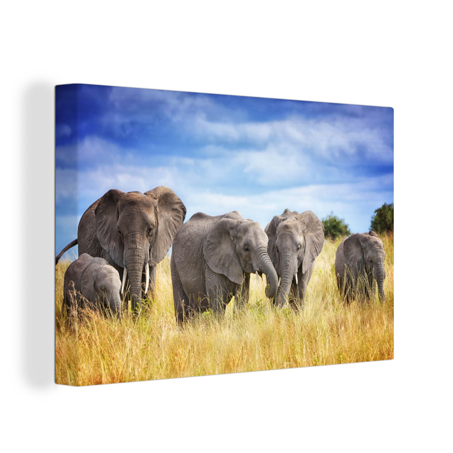 OneMillionCanvasses® Leinwandbild Elefanten - Familie - Safari, (1 St), Wandbild für alle Wohnbereiche, Gemälde, XXL, großes, 120x80 cm