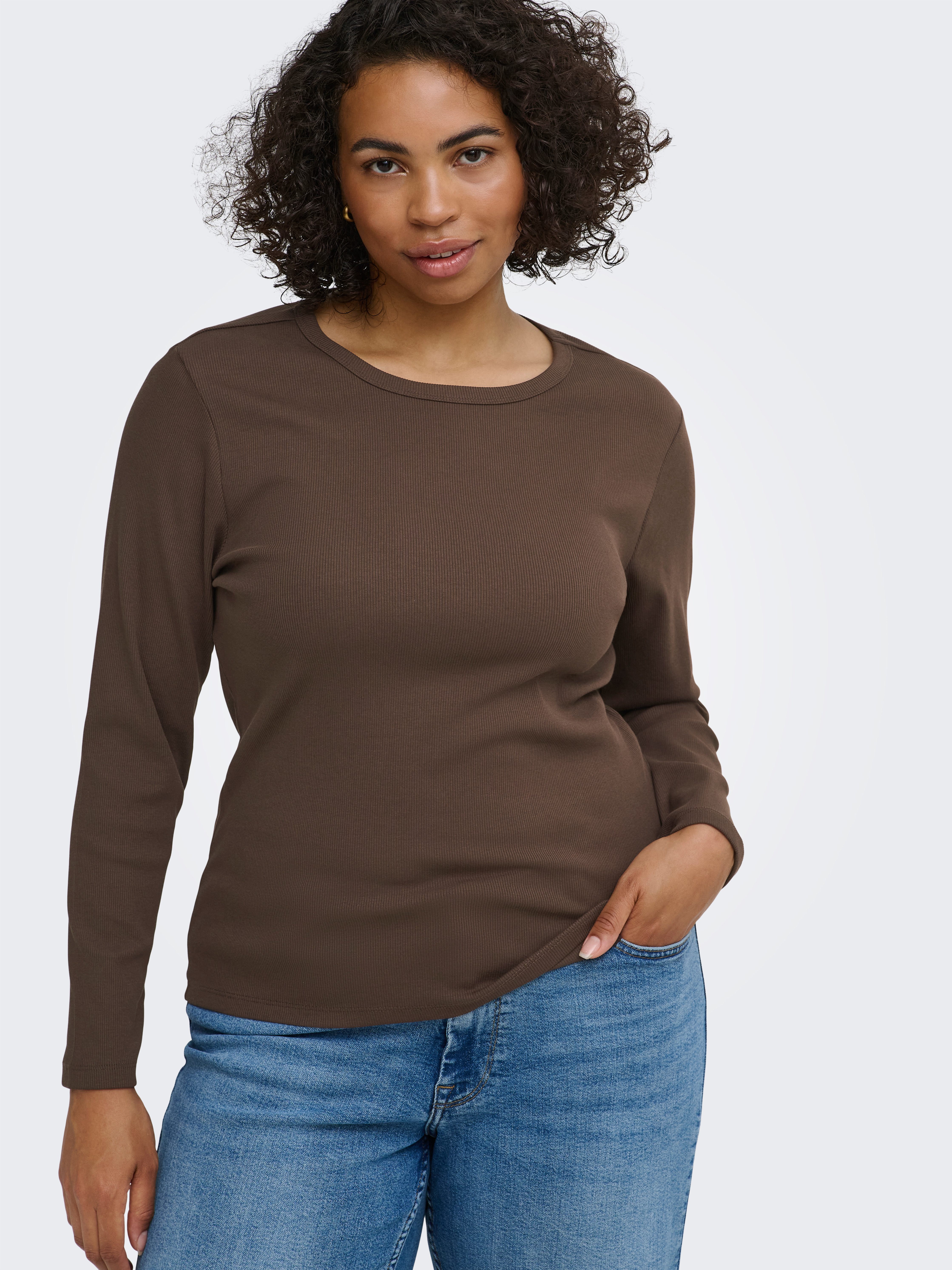 ONLY CARMAKOMA Langarmshirt CARVAL L/S O-NECK TOP JRS NOOS Baumwollmischung, regular fit
