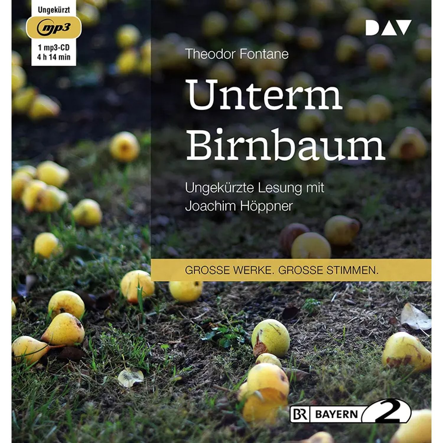 Der Audio Verlag Hörspiel Unterm Birnbaum,1 Audio-CD, 1 MP3